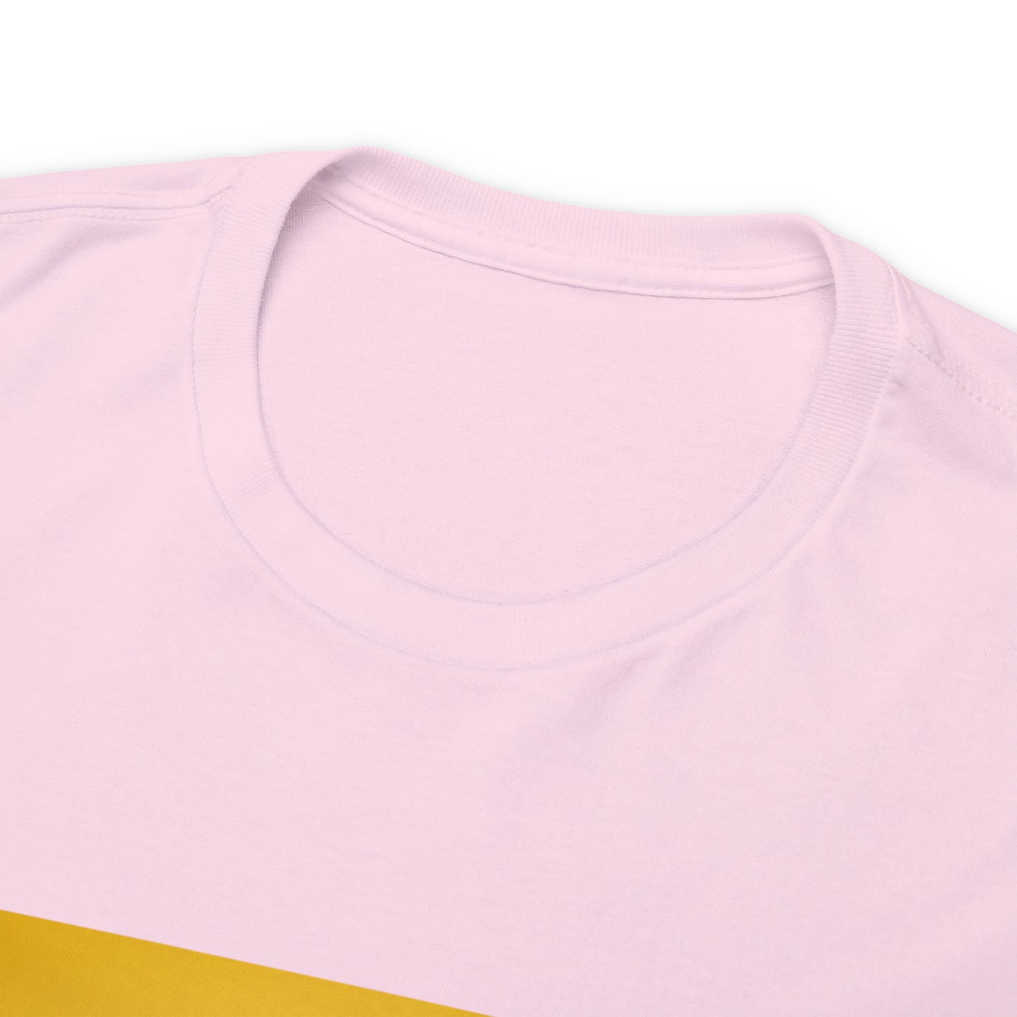 « Not ashamed of the gospel » Unisex Heavy Cotton Tee