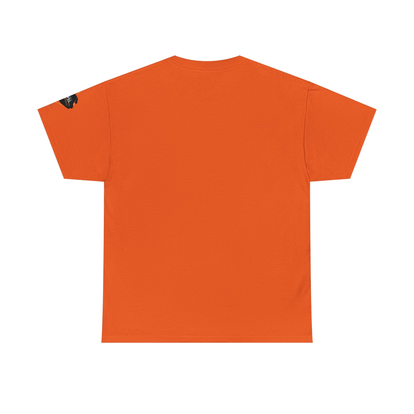 « Not ashamed of the gospel » Unisex Heavy Cotton Tee
