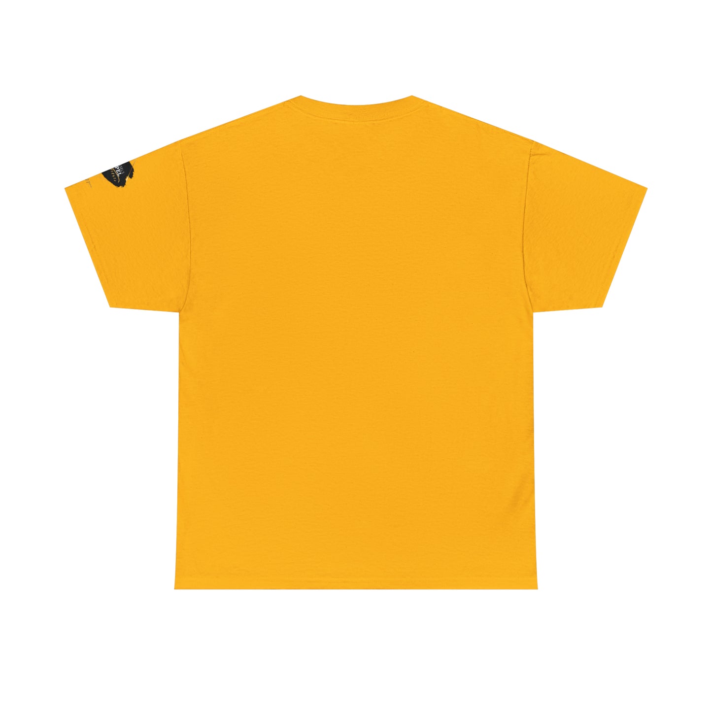 « Not ashamed of the gospel » Unisex Heavy Cotton Tee