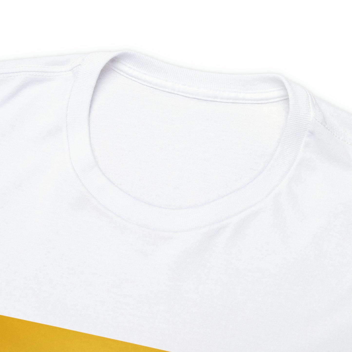 « Not ashamed of the gospel » Unisex Heavy Cotton Tee