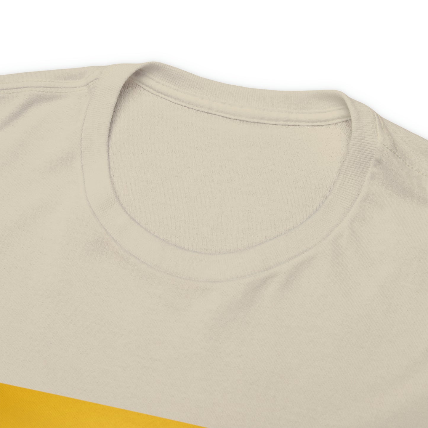 « Not ashamed of the gospel » Unisex Heavy Cotton Tee